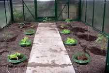IMGP3432.webp