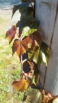 20190427_104746.jpg