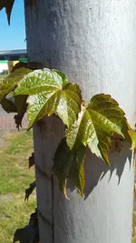 20190427_104719.jpg
