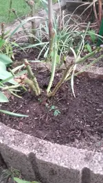 20190424_191714.webp