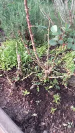 20190424_191824.webp