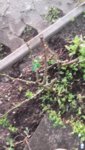 20190424_191841.jpg