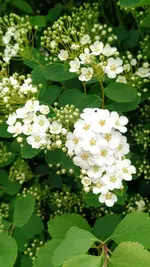 IMG_20190423_101144333.webp