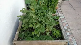 IMG_20190425_192348842.png