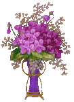 20.gif