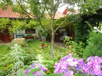 DSCN4245.webp