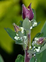 image002.webp