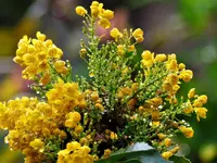 image003.webp