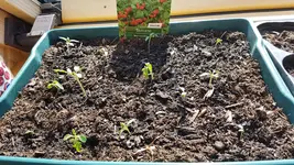 20190428_163833.webp