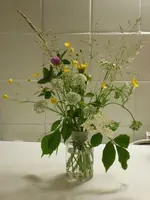 P1010860.webp