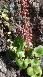 20190427_170543.jpg