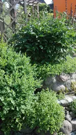 IMG_20180523_165222.webp