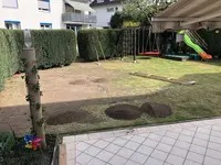 IMG_3641.webp IMG_3641.webp