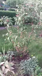 20190424_191856.webp