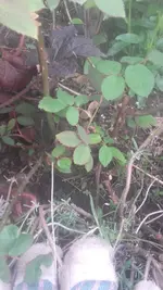 20190428_180448.webp