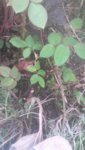 20190428_180455.jpg