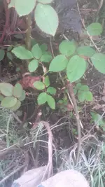 20190428_180455.webp