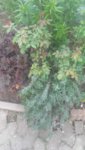 20190428_180416.jpg