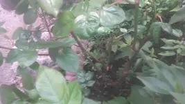 20190428_180606.webp