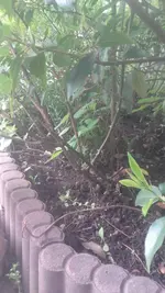 20190428_180615.webp