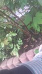 20190428_180544.jpg