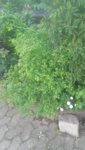 20190428_180635.jpg