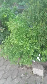 20190428_180635.webp