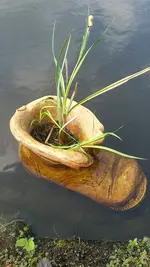 20190430_165957.webp