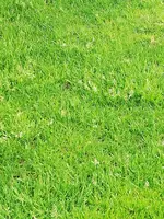 IMG_20190425_070142.webp