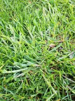 IMG_20190501_074340.webp