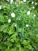 DSC05431.webp