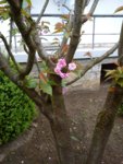 DSC05438.jpg