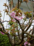 DSC05439.jpg