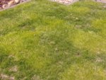 20190501_123335.jpg