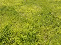 20190501_125146.webp