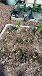 2019-05-01 16.03.56.webp