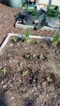 2019-05-01 16.03.56.jpg