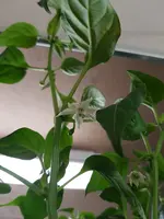 20190501_171227.jpg