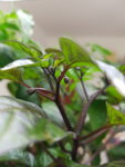 20190501_171317.jpg