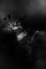 0M3A8100_1.webp