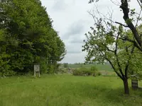 P1120438.webp