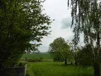 P1120440.webp