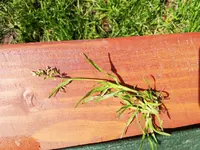 Foto 4.webp