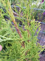 IMG_20190501_190739.webp