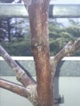 F9759624-34E5-48F1-A0F7-2D8656FCC31B.jpeg