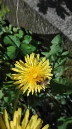 IMG_20190501_171407.webp