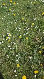 IMG_20190501_121049.webp