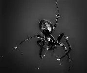 0M3A8213.webp
