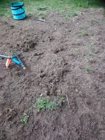 DSC_1420.webp DSC_1420.webp