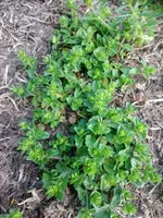 DSC_1418.webp DSC_1418.webp